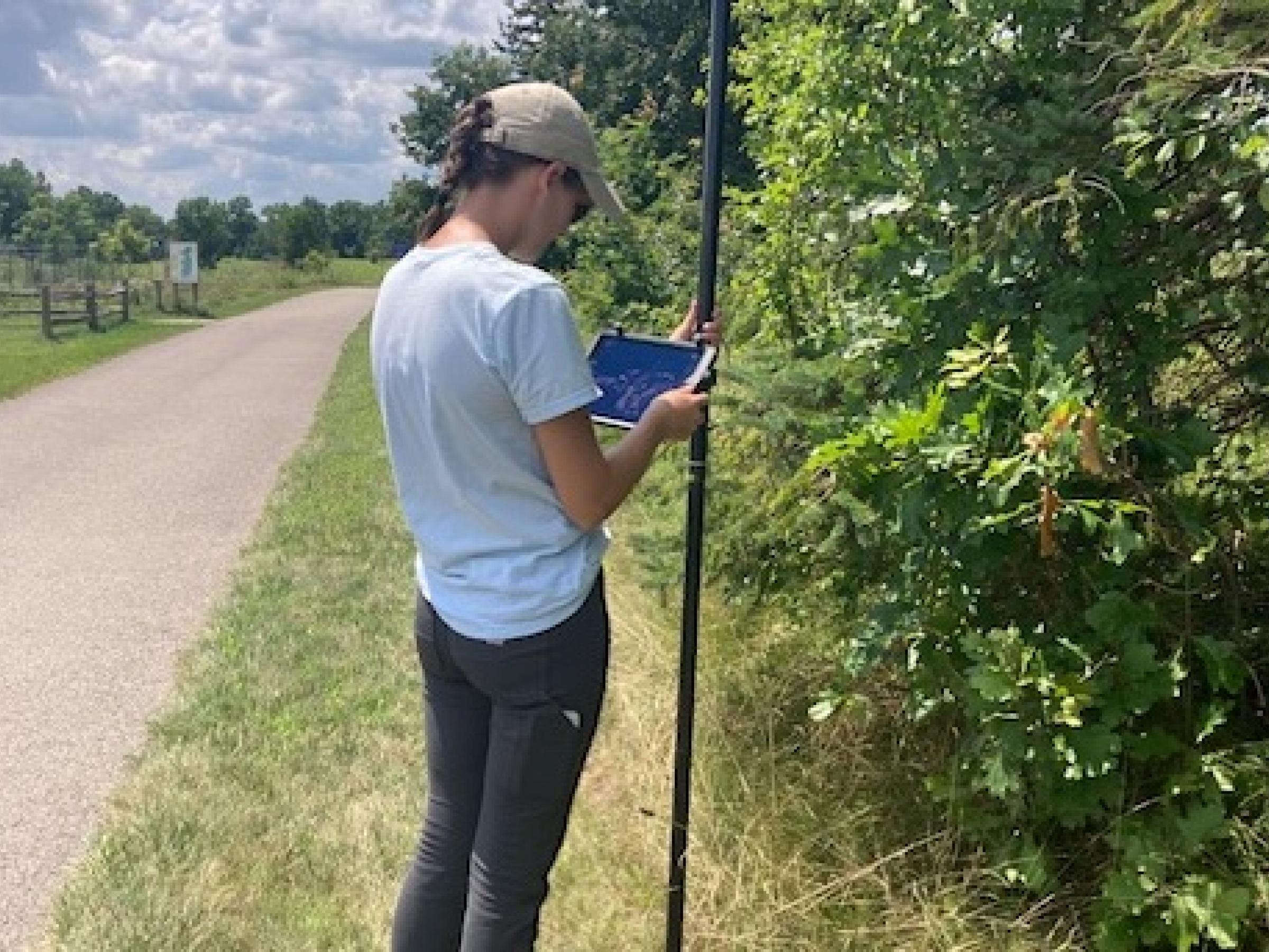 Eco-workday volunteers together in the woods