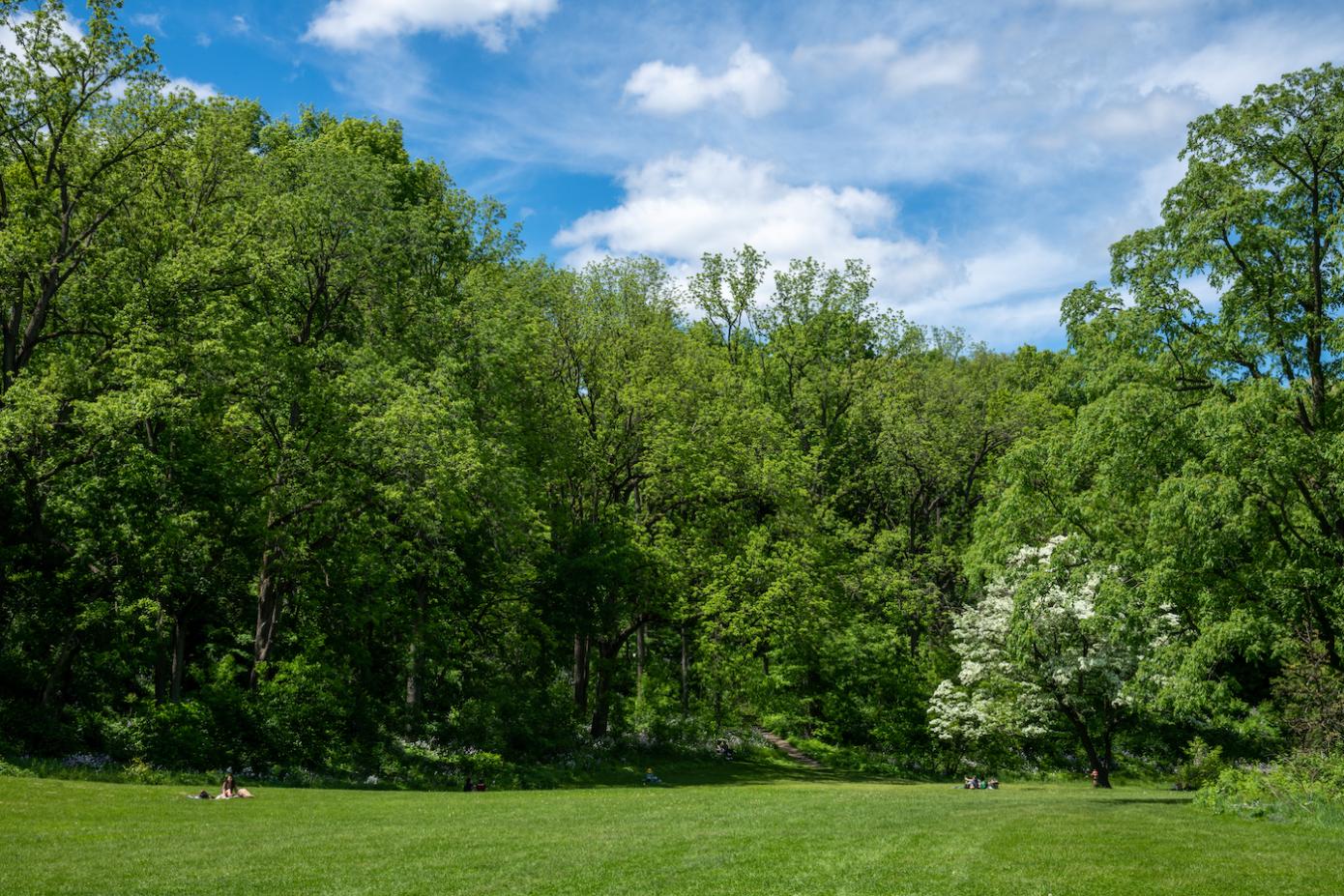 Photo of Main Valley